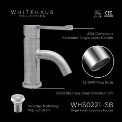 Lavatory Faucet, Single Hole with Extended Lever in Brushed Stainless Steel