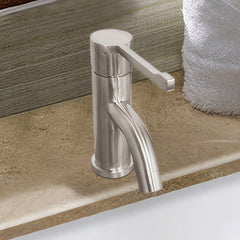 Lavatory Faucet, Single Hole with Extended Lever in Brushed Stainless Steel
