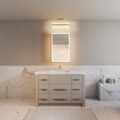 LED Medicine Cabinet, Frameless, Recessed or Surface Mount, Aluminum, Silver