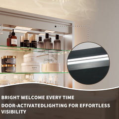 LED Medicine Cabinet, Frameless, Recessed or Surface Mount, Aluminum, Silver
