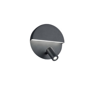Light Fixture, 2 Lights, Metal with Integrated LED