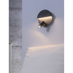 Light Fixture, 2 Lights, Metal with Integrated LED