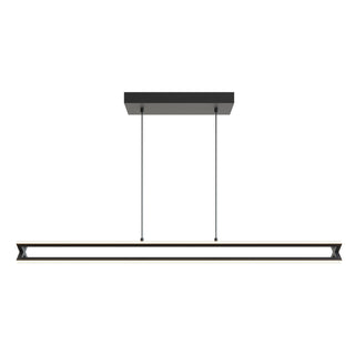 Linear LED Pendant Light, 48 in Wide with Black Finish