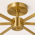 Hardware | close view of the round brushed brass canopy, short downrod, and central hub