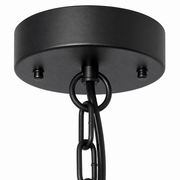 Hardware | close-up of the black metal canopy, ring, chain links, and suspension cable