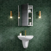 Medicine Cabinet, Cache, 20 in x 30 in with Reversible Door in Mirrored Finish