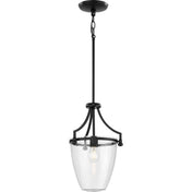 Mini Pendant Light with Transparent Glass Shade and Metal Frame