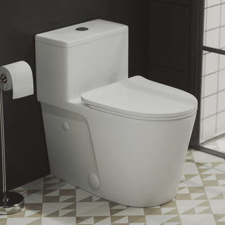 One-Piece Elongated Toilet, Arles, Dual Flush 1.1/1.6 GPF