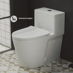 One-Piece Elongated Toilet, Arles, Dual Flush 1.1/1.6 GPF