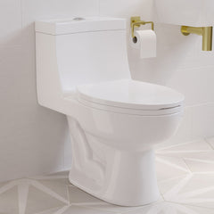 One-Piece Elongated Toilet, Avallon, Dual Flush with Soft Close Seat