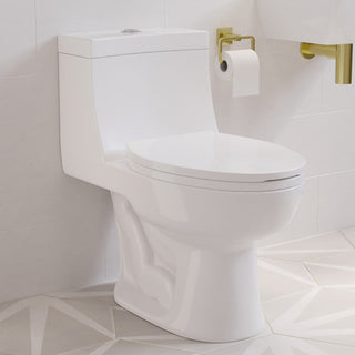 One-Piece Elongated Toilet, Avallon, Dual Flush with Soft Close Seat