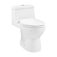 One-Piece Elongated Toilet, Avallon, Dual Flush with Soft Close Seat