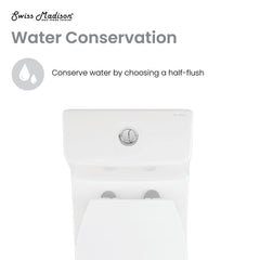 One-Piece Elongated Toilet, Avallon, Dual Flush with Soft Close Seat