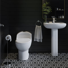 One Piece Elongated Toilet, Château, Dual Flush, 1.1/1.6 GPF, Black