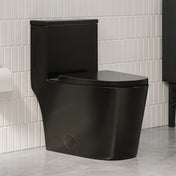 One-Piece Elongated Toilet, Dreux, Dual Flush in Glossy Black