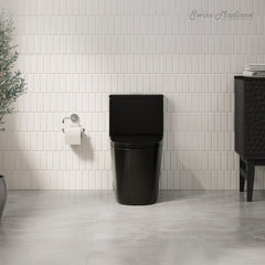One-Piece Elongated Toilet, Dreux, Dual Flush in Glossy Black