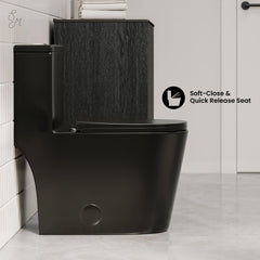 One-Piece Elongated Toilet, Dreux, Dual Flush in Glossy Black