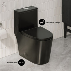 One-Piece Elongated Toilet, Dreux, Dual Flush in Glossy Black