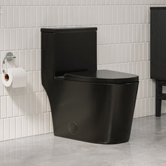 One-Piece Elongated Toilet, Dreux, Dual Flush in Glossy Black