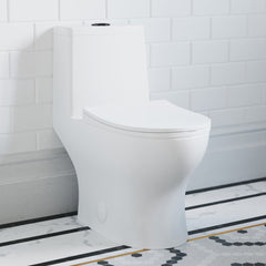 One-Piece Elongated Toilet, Ivy, Dual Flush with Black Hardware