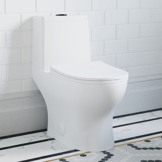 One-Piece Elongated Toilet, Ivy, Dual Flush with Black Hardware