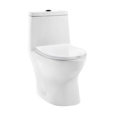 One-Piece Elongated Toilet, Ivy, Dual Flush with Black Hardware