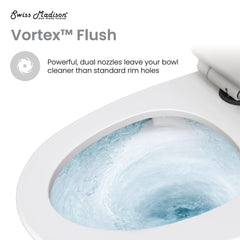 One-Piece Elongated Toilet, Ivy, Dual Flush with Black Hardware