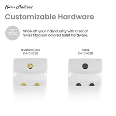 One-Piece Elongated Toilet, Ivy, Dual Flush with Black Hardware