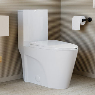 One-Piece Elongated Toilet, St. Tropez, Dual Flush in Glossy White