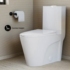 One-Piece Elongated Toilet, St. Tropez, Dual Flush in Glossy White