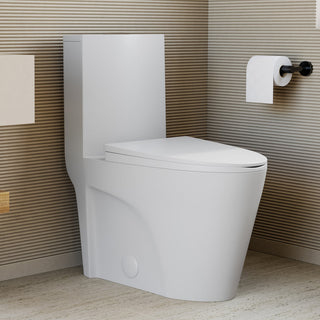 One-Piece Elongated Toilet, St. Tropez, Dual Flush in Matte White