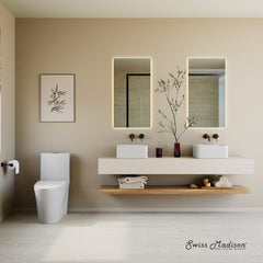 One-Piece Elongated Toilet, St. Tropez, Dual Flush in Matte White