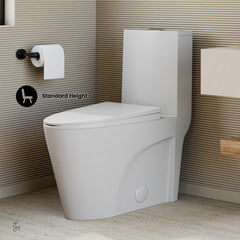 One-Piece Elongated Toilet, St. Tropez, Dual Flush in Matte White