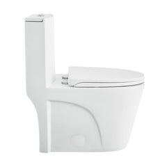One-Piece Elongated Toilet, St. Tropez, Dual Flush in Matte White