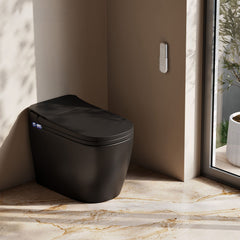One Piece Smart Toilet, Avancer, 1.28 GPF with Heated Bidet in Matte Black