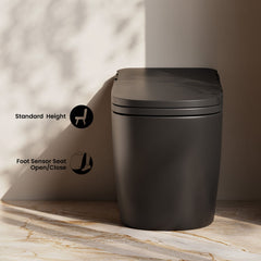 One Piece Smart Toilet, Avancer, 1.28 GPF with Heated Bidet in Matte Black