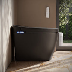 One Piece Smart Toilet, Avancer, 1.28 GPF with Heated Bidet in Matte Black