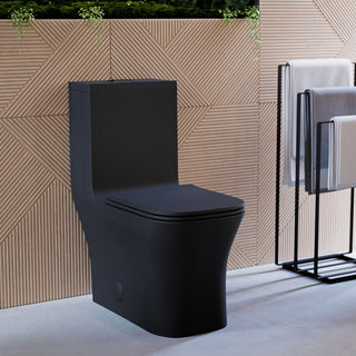 One Piece Square Toilet, Concorde, Dual Flush in Matte Black