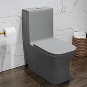 One Piece Square Toilet, Concorde, Dual Flush in Matte Gray