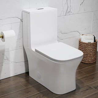 One Piece Square Toilet, Concorde, Dual Flush in Matte White