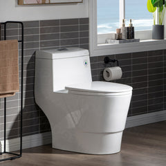 One Piece Toilet, Elongated, Dual Flush, 1.28 GPF, Soft-Close Seat, White