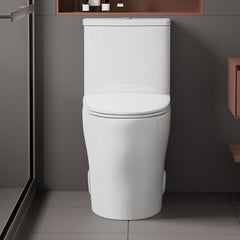One-Piece Toilet, Elongated, Dual Flush, Ceramic, White