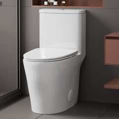 One-Piece Toilet, Elongated, Dual Flush, Ceramic, White
