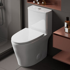 One-Piece Toilet, Elongated, Dual Flush, Ceramic, White