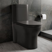 One-Piece Toilet, Monaco, Elongated Dual Flush in Matte Black