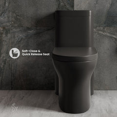 One-Piece Toilet, Monaco, Elongated Dual Flush in Matte Black