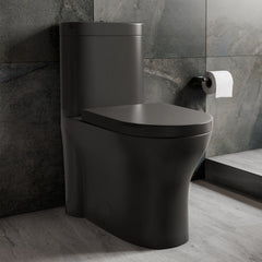 One-Piece Toilet, Monaco, Elongated Dual Flush in Matte Black