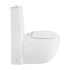 One-Piece Toilet, Plaisir, Elongated, Dual-Flush, Glossy White