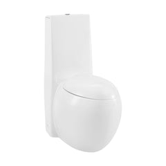 One-Piece Toilet, Plaisir, Elongated, Dual-Flush, Glossy White