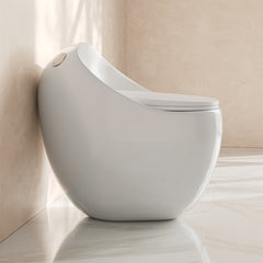 One-Piece Toilet, Plaisir II, Top Flush, 1.28 GPF, Glossy White